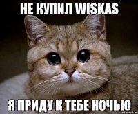 не купил wiskas я приду к тебе ночью