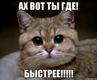 ах вот ты где! быстрее!!!