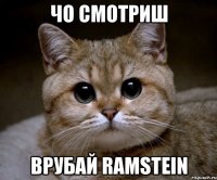 чо смотриш врубай ramstein