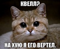 квелл? на хую я его вертел.