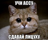 учи ассу сдавай лицуху