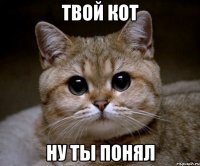 твой кот ну ты понял