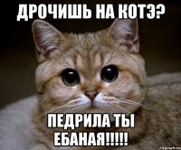 дрочишь на котэ? педрила ты ебаная!!!