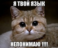 я твой язык непонимаю !!!