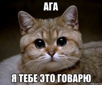 ага я тебе это говарю