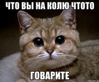 что вы на колю чтото говарите