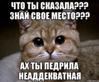 что ты сказала??? знай свое место??? ах ты педрила неаддекватная