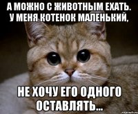 а можно с животным ехать. у меня котенок маленький, не хочу его одного оставлять...