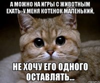 а можно на игры с животным ехать. у меня котенок маленький, не хочу его одного оставлять...