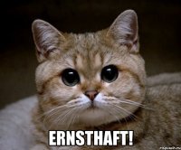  ernsthaft!