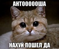 антоооооша нахуй пошел да