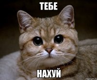 тебе нахуй