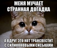 меня мучает странная догадка а вдруг это кот трансвестит с силиконовыми сиськами