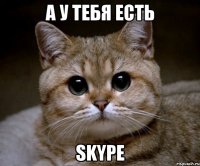 а у тебя есть skype