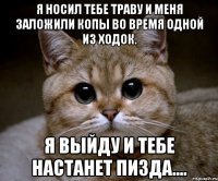 я носил тебе траву и меня заложили копы во время одной из ходок. я выйду и тебе настанет пизда....