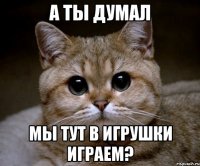 а ты думал мы тут в игрушки играем?