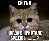 ей ты! когда в кристале будешь ............?