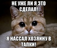 не уже ли я это сделал! я нассал хозяину в тапки!