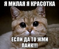 я милая я красотка если да то жми лайк!!!