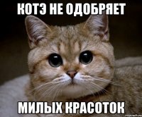 котэ не одобряет милых красоток