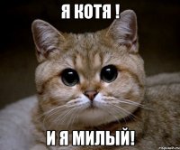 я котя ! и я милый!