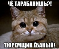 чё тарабанишь?! тюремщик ёбаный!