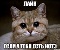 лайк если у тебя есть котэ