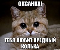 оксанка! тебя любит вредный колька