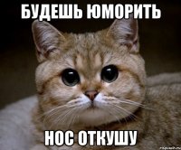 будешь юморить нос откушу