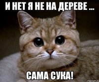 и нет я не на дереве ... сама сука!