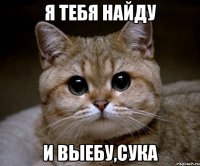 я тебя найду и выебу,сука