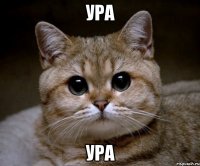 ура ура