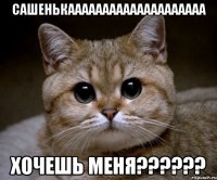 сашенькаааааааааааааааааааа хочешь меня???