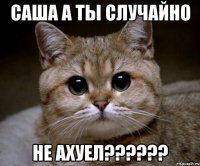 саша а ты случайно не ахуел???