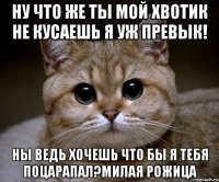 ну что же ты мой хвотик не кусаешь я уж превык! ны ведь хочешь что бы я тебя поцарапал?милая рожица