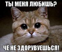 ты меня любишь? чё не здорувуешься!