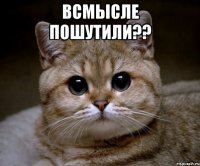 всмысле пошутили?? 