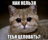 как нельзя тебя целовать?