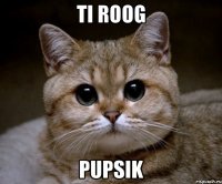 ti roog pupsik