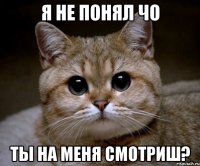 я не понял чо ты на меня смотриш?