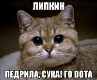 липкин педрила, сука! го dota