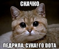 скачко педрила, сука! го dota