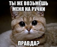 ты же возьмёшь меня на ручки правда?