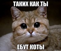 таких как ты ебут коты