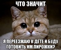 что значит я переезжаю к дете и буду готовить им пирожки?