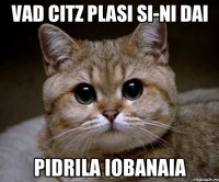 vad citz plasi si-ni dai pidrila iobanaia