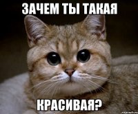 зачем ты такая красивая?