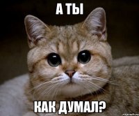 а ты как думал?