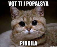 VOT TI I POPALSYA PIDRILA