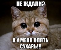 Не ждали? А у меня опять сухарь!!!